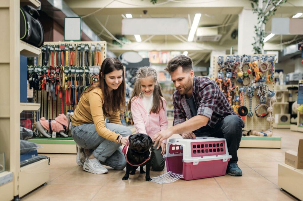 Consejos para comprar artículos para mascotas online 1 consejosparacomprarartculosparamascotasonli