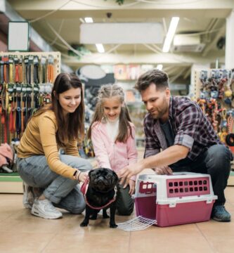 Consejos para comprar artículos para mascotas online 1 consejosparacomprarartculosparamascotasonli