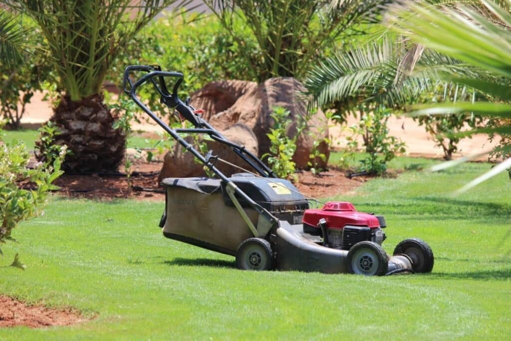 Consejos para comprar productos de jardinería online 1 consejosparacomprarproductosdejardineraonli