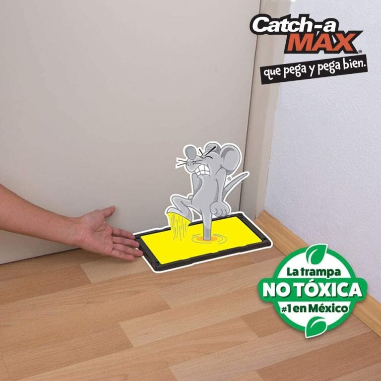 Consejos para comprar artículos de moda y estilo modernos 3 El desafío divertido: ironía en las trampas del carrito virtual