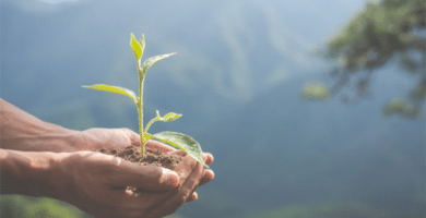 Cómo reducir los costes de tu empresa trabajando la ecoeficiencia 4 empresa