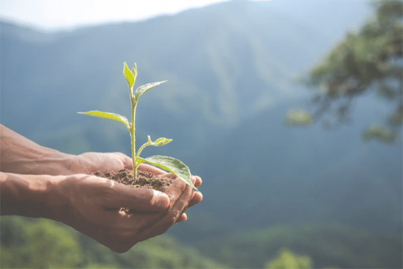 Cómo reducir los costes de tu empresa trabajando la ecoeficiencia 1 empresa