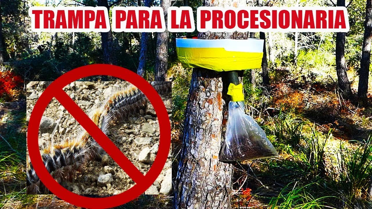 La trampa del "agregar al carrito" y cómo evitarla