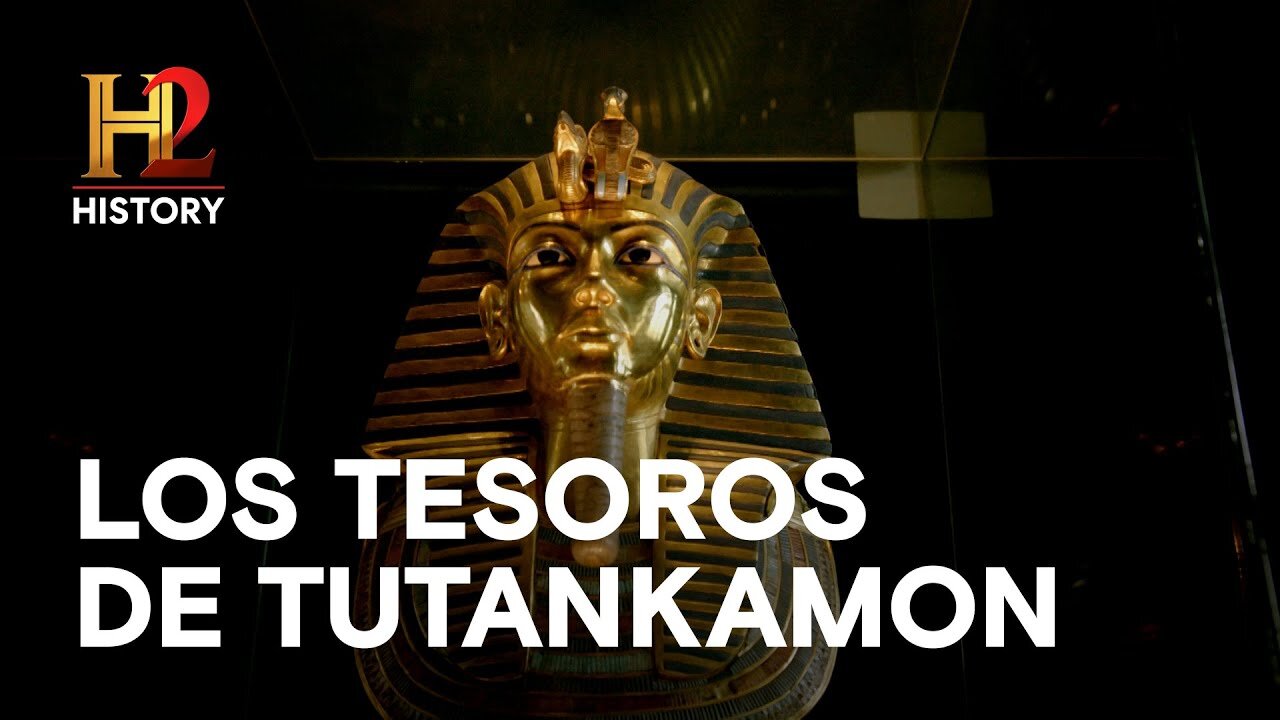 ¿Por qué arriesgarte con lo convencional cuando internet ofrece tesoros ocultos?