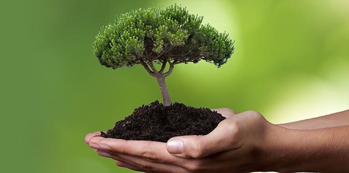 Cómo reducir los costes de tu empresa trabajando la ecoeficiencia 3 tu empresa trabajando la ecoeficiencia