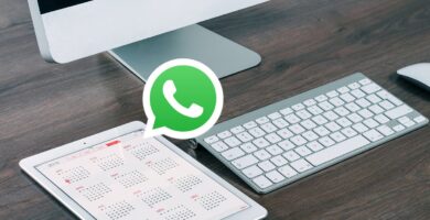 tus citas por WhatsApp